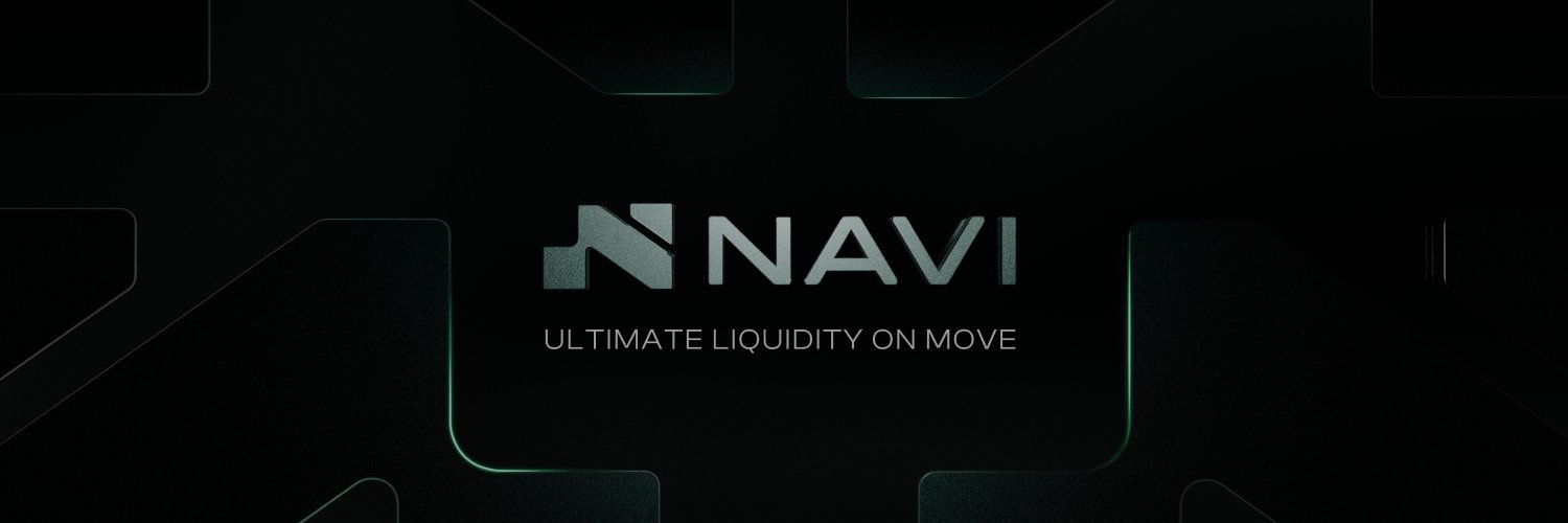 NAVI Protocol